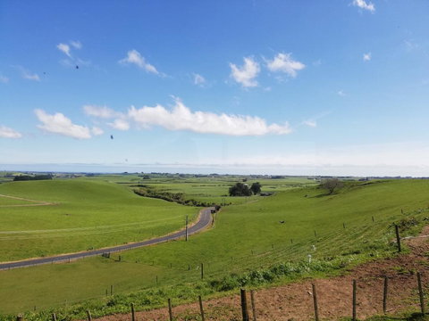 Kromdraai - Accommodation New Zealand 1
