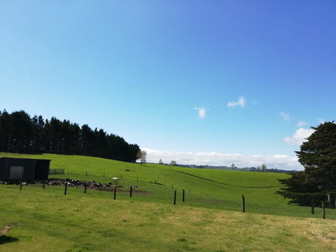 Kromdraai - Accommodation New Zealand 0