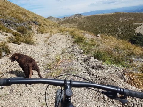 Lake Stella Mountain Huts - Accommodation New Zealand 3