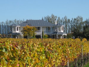 Lismore House  Vinyard