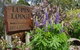 Lupin Lodge Bed & Breakfast - thumb 1