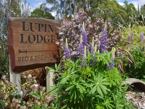 Lupin Lodge Bed & Breakfast - Accommodation New Zealand 1