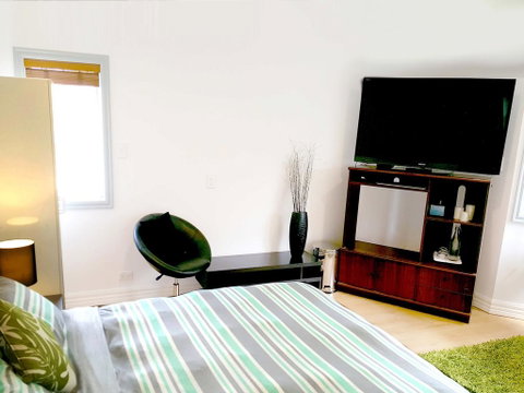 Lush & Co Auckland Bed & Breakfast - Accommodation New Zealand 3