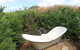Luxurious Escape,Matakana - thumb 0