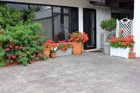 Maison De Rose - Accommodation New Zealand 3