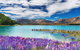Manapouri Lakeview Motor Inn - thumb 3