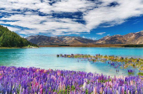 Manapouri Lakeview Motor Inn - Accommodation New Zealand 3