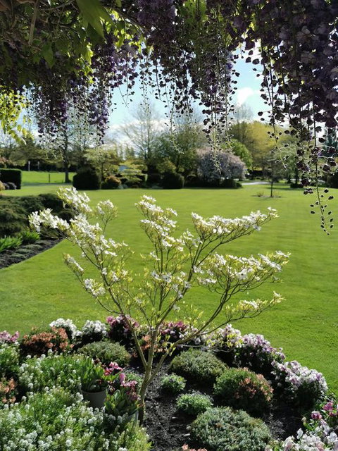 Mattanna B & B - Accommodation New Zealand 3