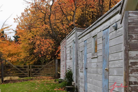 Mount Cook Station Huts - Accommodation New Zealand 2