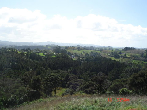Nancy's Garden - Accommodation New Zealand 3