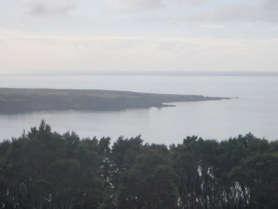Nga Puriri Bed And Breakfast