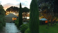 Ngahere Hou Glamping