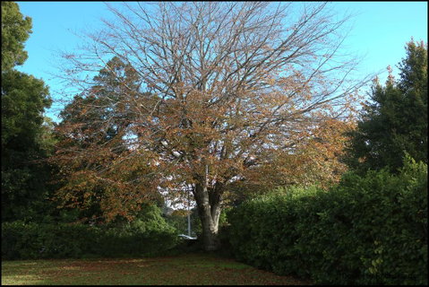 Nyima Tashi Buddhist Centre - Accommodation New Zealand 2