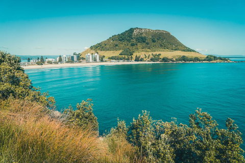 Ocean Eleven At Magical Mount Maunganui - Accommodation New Zealand 3
