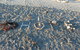 Ocean View - thumb 1