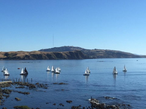 Ocean View Self-contained Apartment - Accommodation New Zealand 0