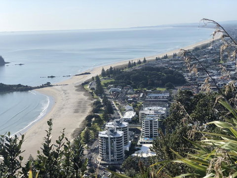 Oceanside Apartment - Accommodation New Zealand 0
