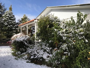 Oha - Ohakune Holiday Home