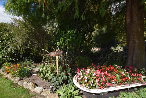 Olivista - Accommodation New Zealand 2