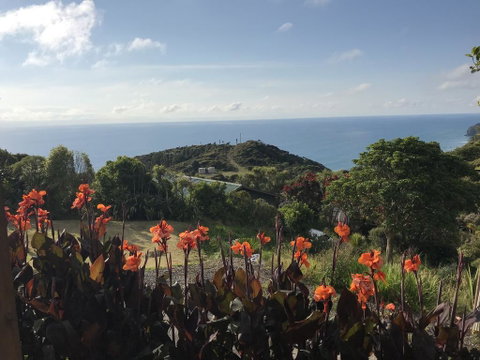 Piha Tiny House - Accommodation New Zealand 1