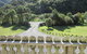 Provence Cottage - thumb 1