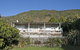 Pukenui - thumb 2