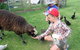 Pukenui Holiday Park - thumb 2