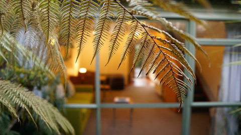 Punga Grove - Accommodation New Zealand 2