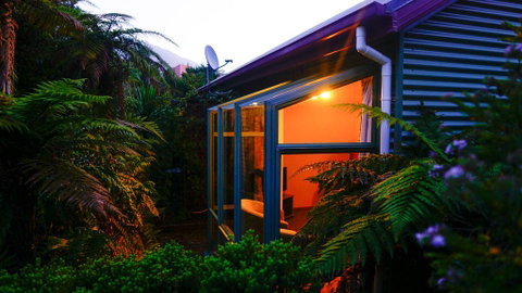 Punga Grove - Accommodation New Zealand 1