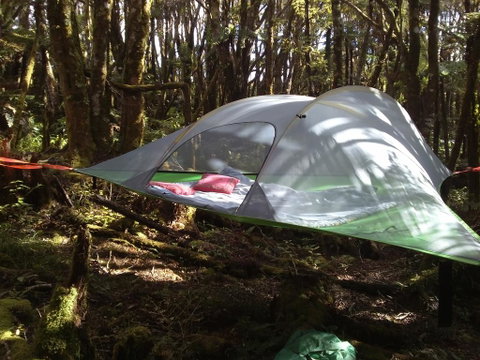 Pupu Rangi Nature Sanctuary - Accommodation New Zealand 2