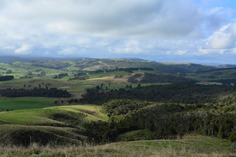 Pupu Rangi Nature Sanctuary - Accommodation New Zealand 3