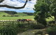 Quail Lodge NZ - thumb 2