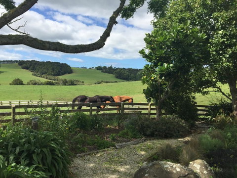 Quail Lodge NZ - Accommodation New Zealand 2