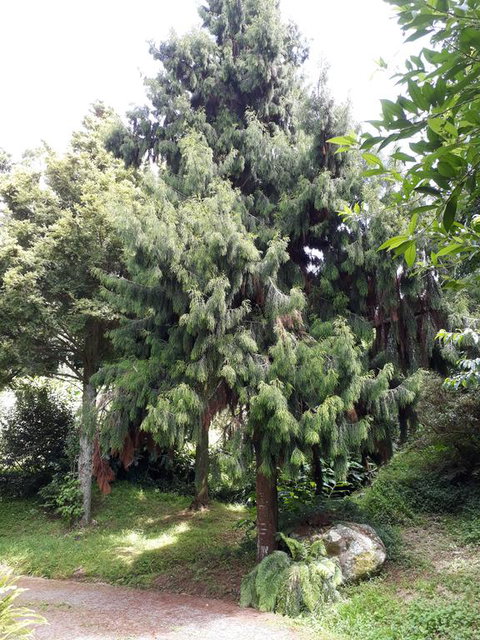 Quirky Woods - Accommodation New Zealand 2