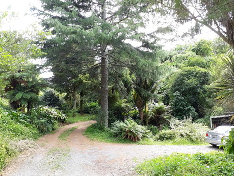 Quirky Woods - Accommodation New Zealand 3