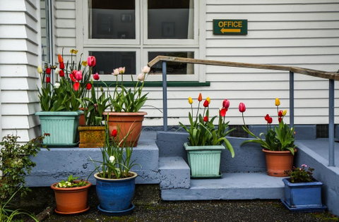 Rainforest Motel - Accommodation New Zealand 2