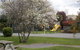 Rangiora Lodge Motel - thumb 3