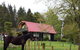 Raurimu Log Cabin - thumb 2