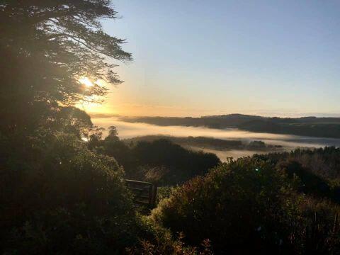 Relax At Red Earth Gardens - Accommodation New Zealand 1