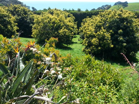 Ridgehaven Accommodation - Accommodation New Zealand 1