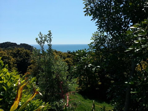 Ridgehaven Accommodation - Accommodation New Zealand 3