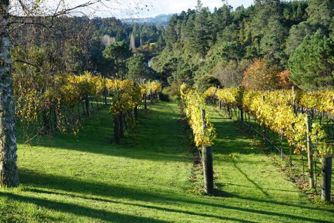 Rive Gauche B&B Lodge - Accommodation New Zealand 2