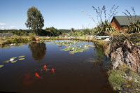 Birds Ferry Lodge Luxury Accommodation