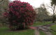 Ohuka Lodge - thumb 4