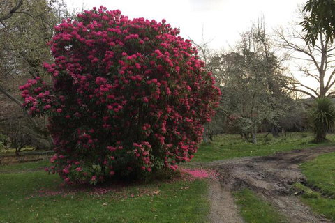 Ohuka Lodge - Accommodation New Zealand 4