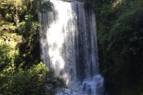 Ohuka Lodge - Accommodation New Zealand 5