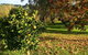 Ohuka Lodge - thumb 6