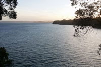 Auckland Clifftop