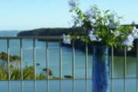 Pipiroa Bay Homestay