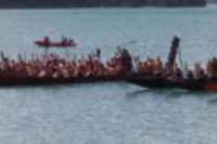 Waikare Cove